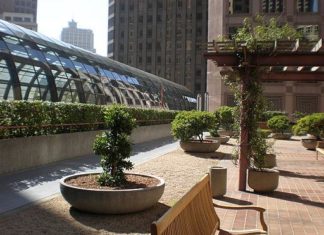 Giardini pensili 893 0 GIARDINO PENSILE